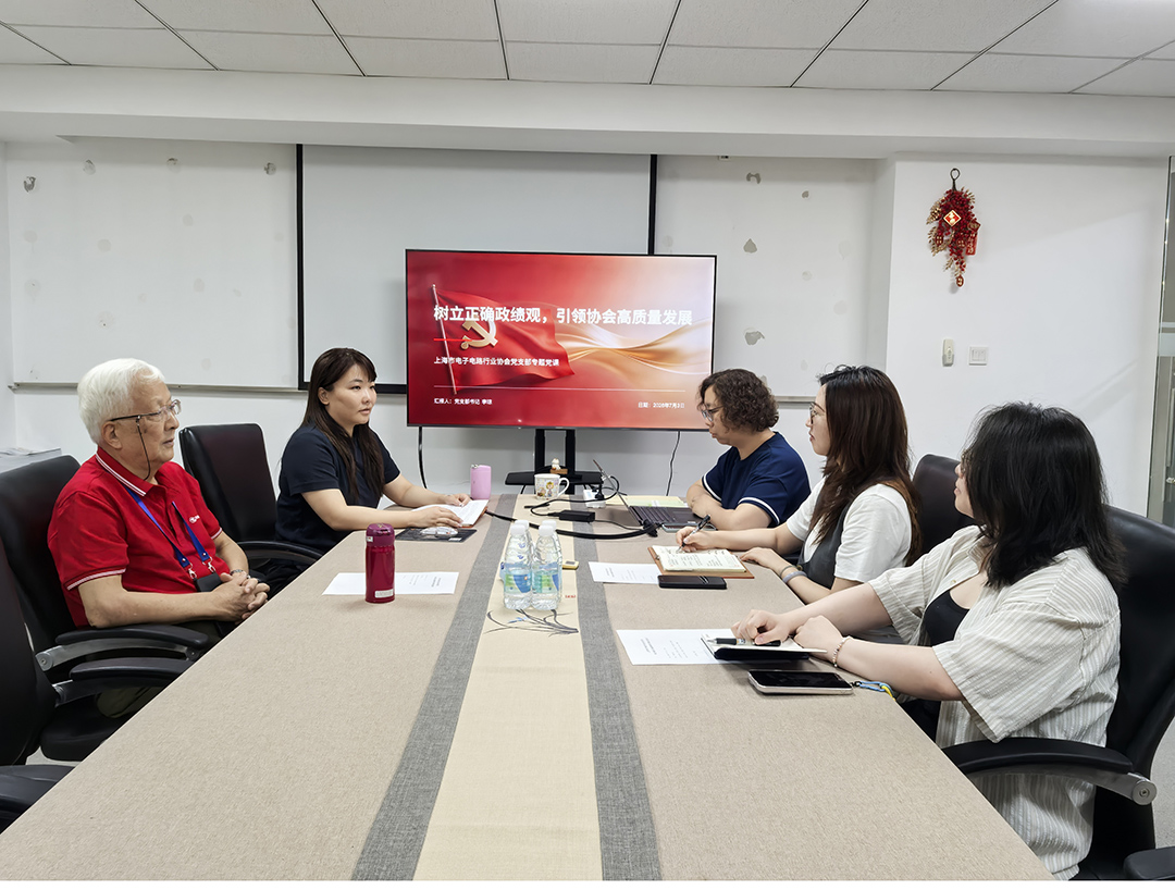 深学细悟正确政绩观 党建领航赋能行业发展 ——上海市电子电路行业协会党支部开展专题党课